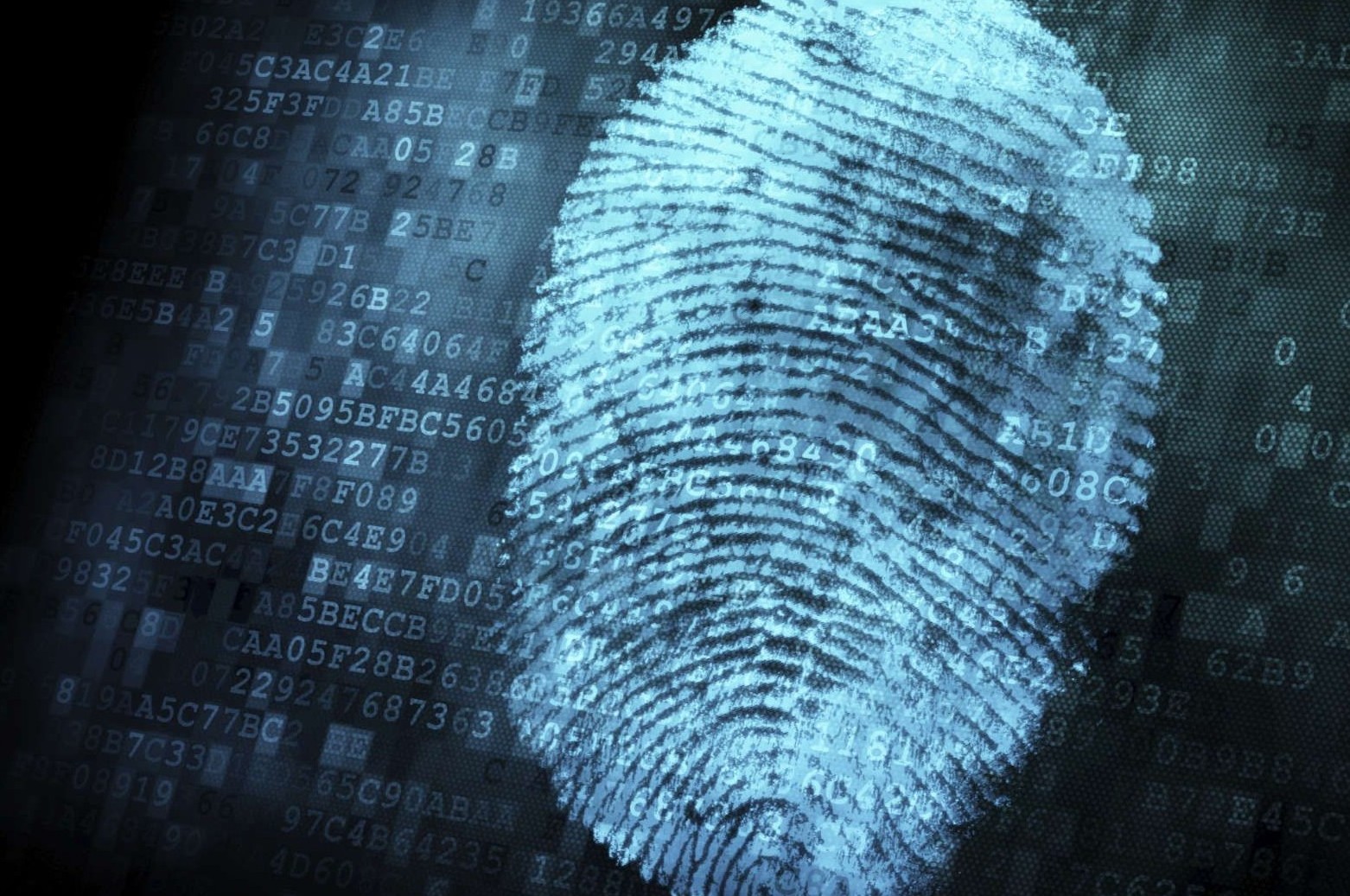 计算机系统集成及综合布线 构建高效可靠的IT基础架构